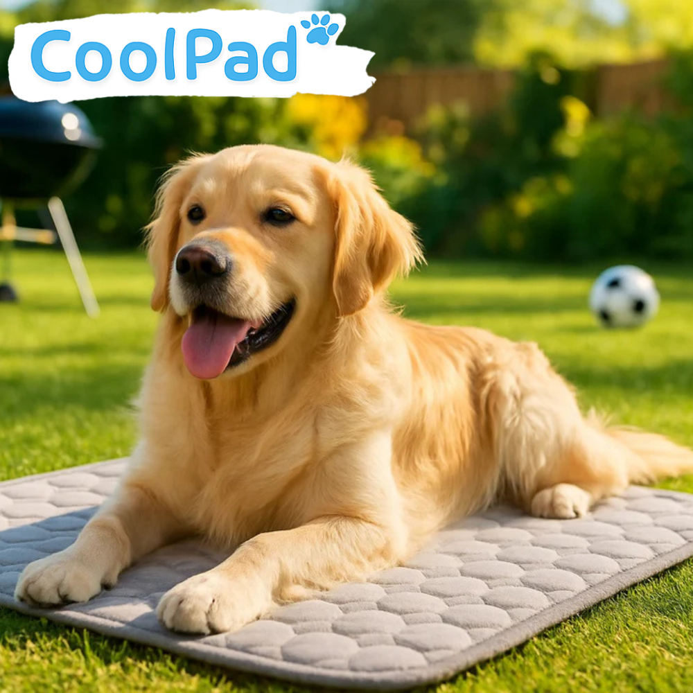 CoolPad™
