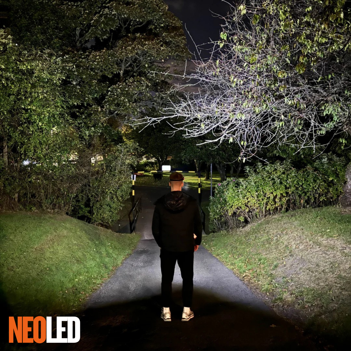 NeoLED